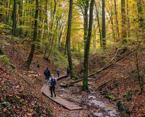 Wanderer in der Ruppertsklamm
