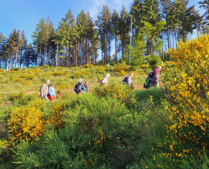 Wanderer in der wunderschöne Landschaft Wittgensteins