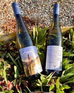 Zwei Flaschen Weißwein liegen draußen im Sonnenlicht zwischen grünen Pflanzen und Kies. Die Etiketten sind teilweise lesbar und zeigen Informationen über den Wein. Es handelt sich um "Lahnwein aus Obernhof an der Lahn".
