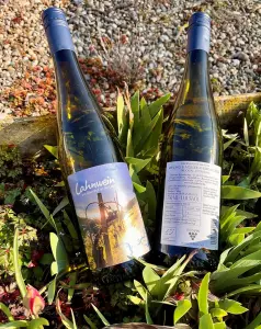 Zwei Flaschen Weißwein liegen draußen im Sonnenlicht zwischen grünen Pflanzen und Kies. Die Etiketten sind teilweise lesbar und zeigen Informationen über den Wein. Es handelt sich um 