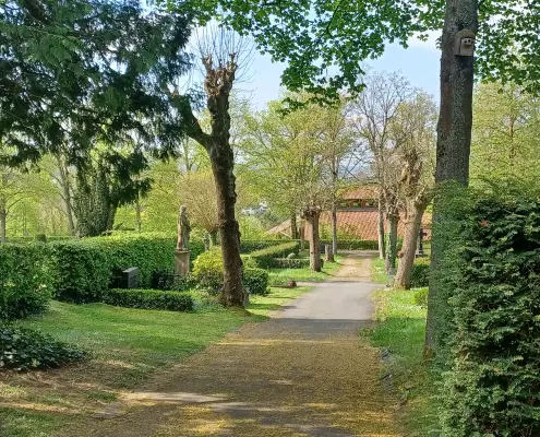 Der alte Friedhof in Wetzlar. Ein gepflegter, parkähnlicher Friedhof im Frühling mit einem asphaltierten Weg, der leicht kurvig nach hinten führt.