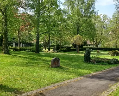 parkähnlicher weitläufigen Bereich des Alten Friedhofs Das Bild zeigt einen weiteren parkähnlichen und weitläufigen Bereich des Alten Friedhofs in Wetzlar im hellen Frühlingslicht.