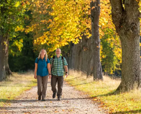 Ein Paar geht im herbstlichen Sonnenschein auf einem von großen Bäumen gesäumten Schotterweg spazieren. Die Frau trägt ein blaues Kurzarmhemd und eine graue Hose, während der Mann ein grün-weiß kariertes Hemd, eine dunkle Hose und einen Rucksack trägt. Sie lächeln und schauen nach vorne, umgeben von Bäumen mit leuchtend gelben und grünen Blättern.