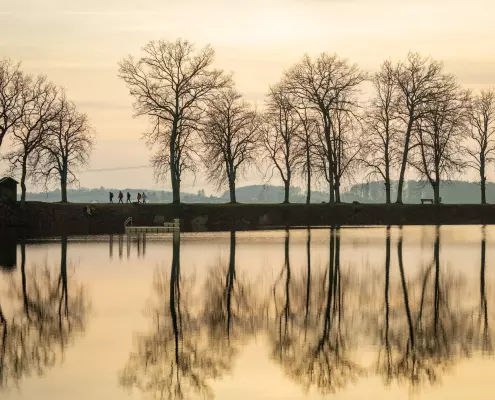 Eine Reihe kahler, laubloser Bäume steht am Uferweg des Herthasees im sanften Licht der Abend- oder Morgensonne, während sich ihre Silhouetten und Äste fast perfekt auf der spiegelglatten Wasseroberfläche im Vordergrund abzeichnen.